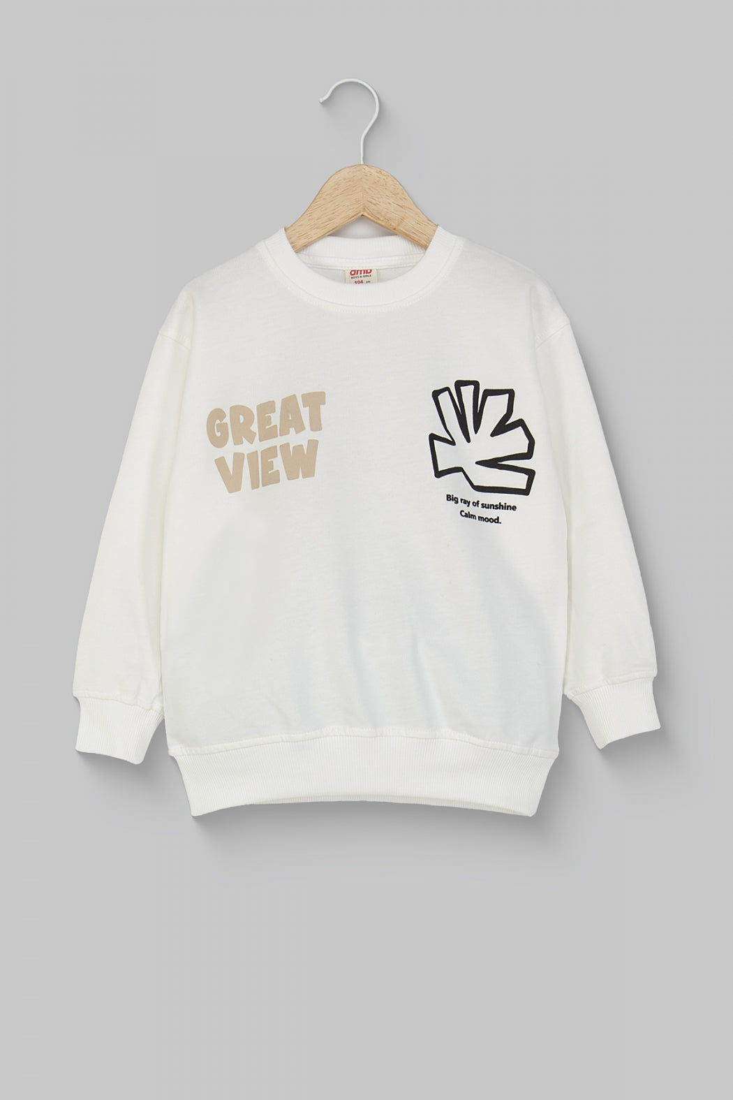 Erkek Çocuk Yazı ve Grafik Baskılı Sweatshirt Pamuklu Rahat Kalıp
