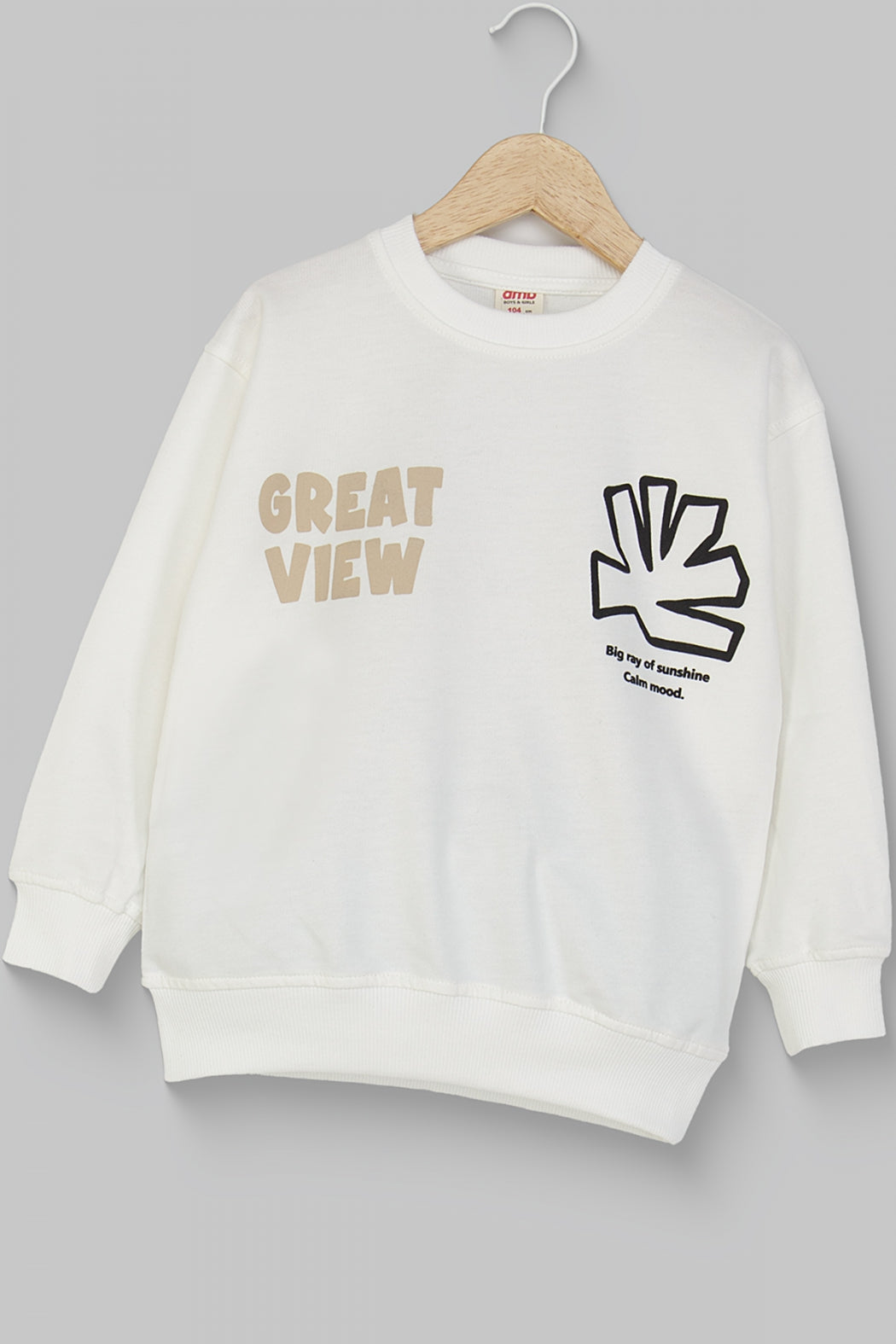 Erkek Çocuk Yazı ve Grafik Baskılı Sweatshirt Pamuklu Rahat Kalıp