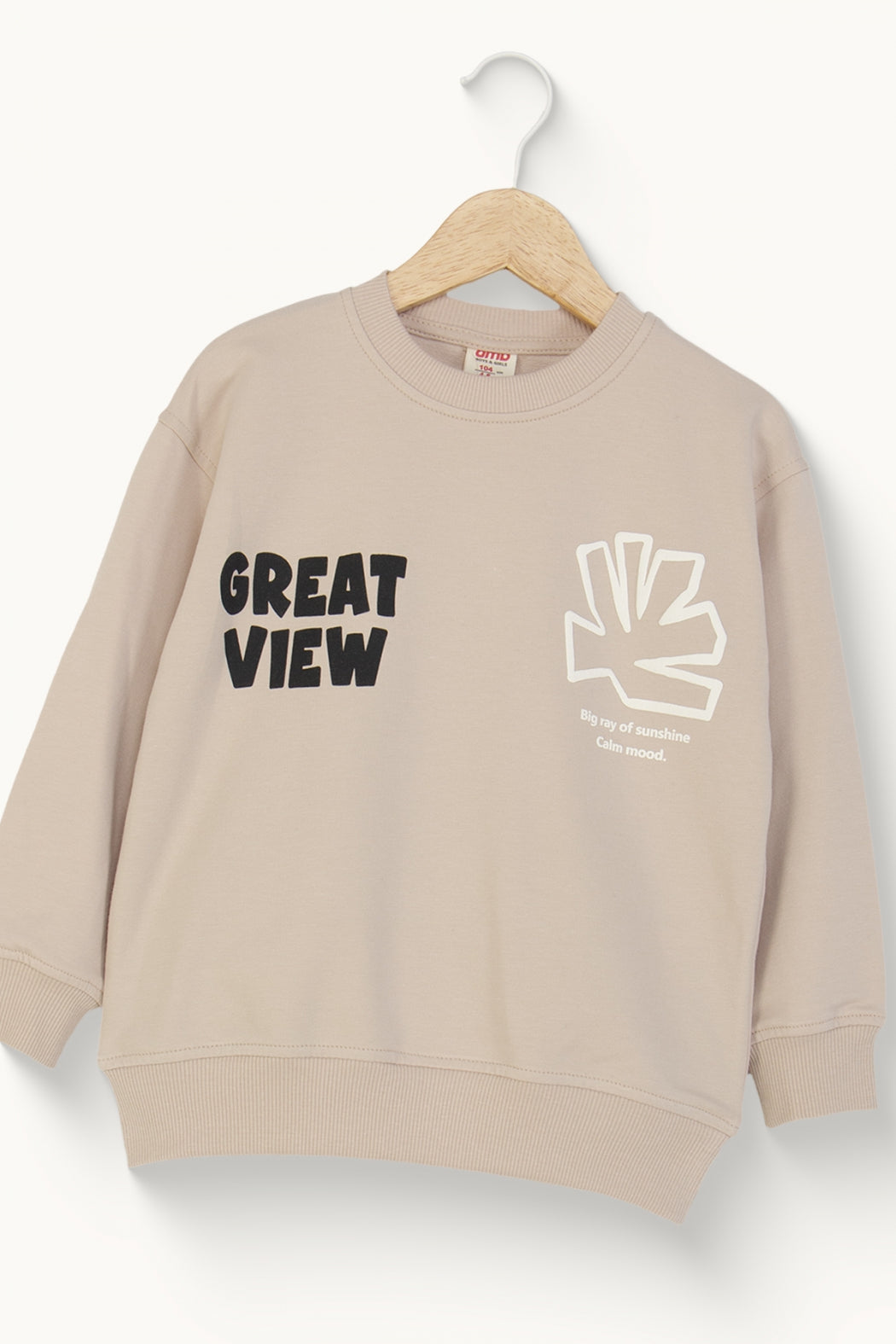 Erkek Çocuk Yazı ve Grafik Baskılı Sweatshirt Pamuklu Rahat Kalıp